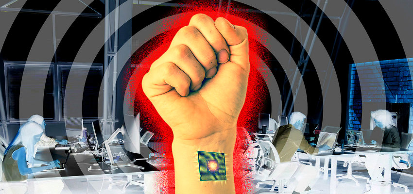 Внимание, чипирование в России началось. Пока только на свиньях...