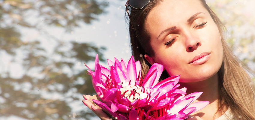 Значения символа цветка лотоса в индийской мифологии