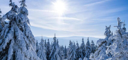 Анонс статьи