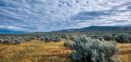 Анонс статьи