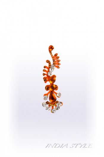 Национальное сари Агни