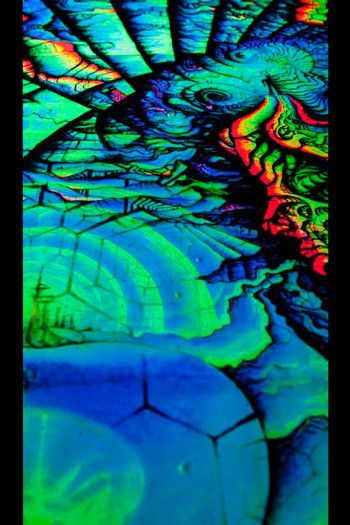 Флуоресцентный настенный баннер «Life»