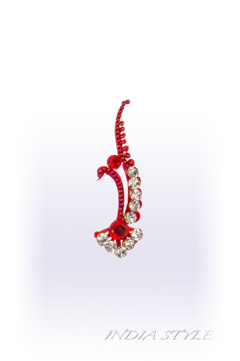 Бинди Бхригу