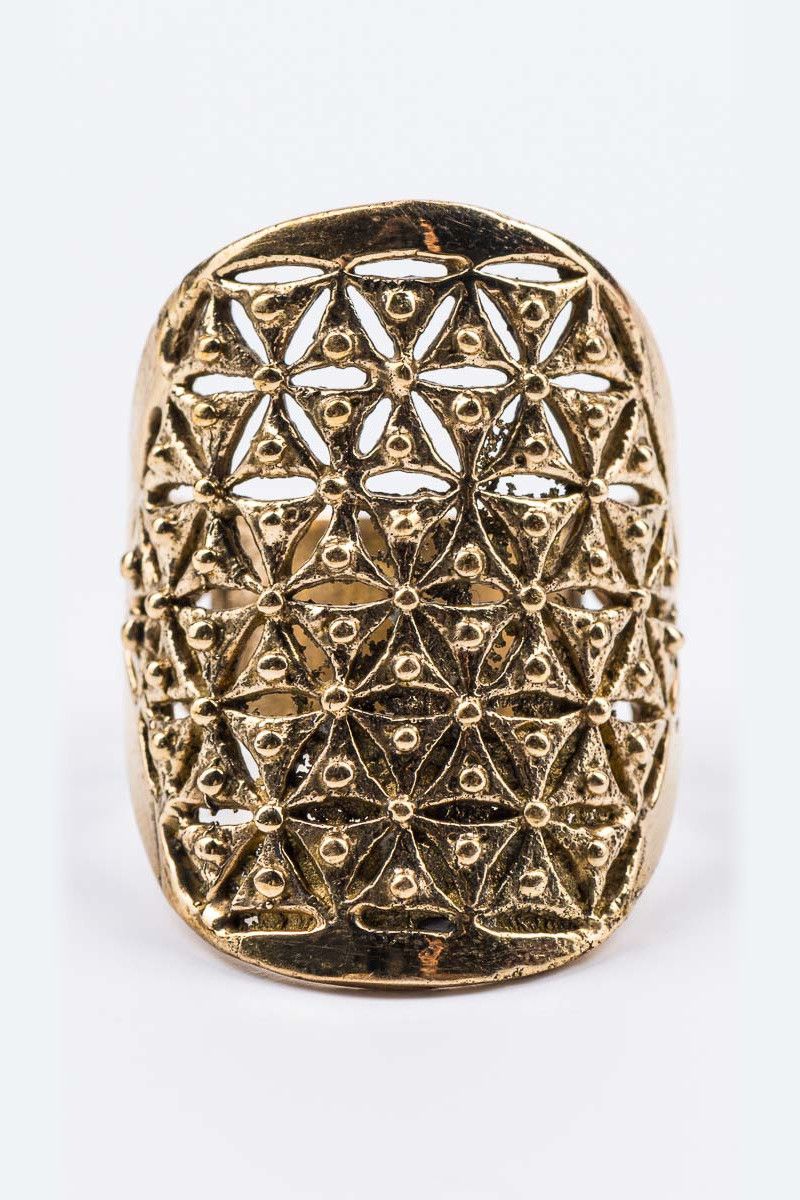 Кольцо Шунья