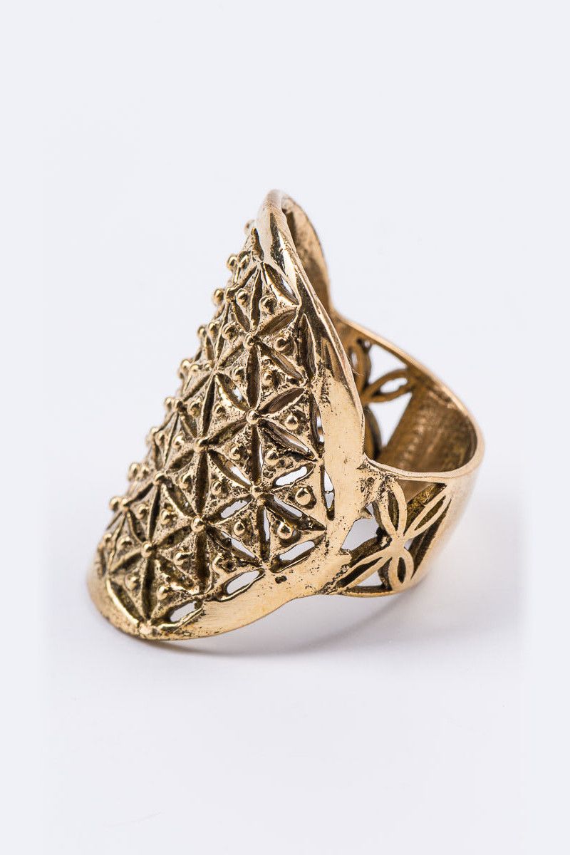 Кольцо Шунья