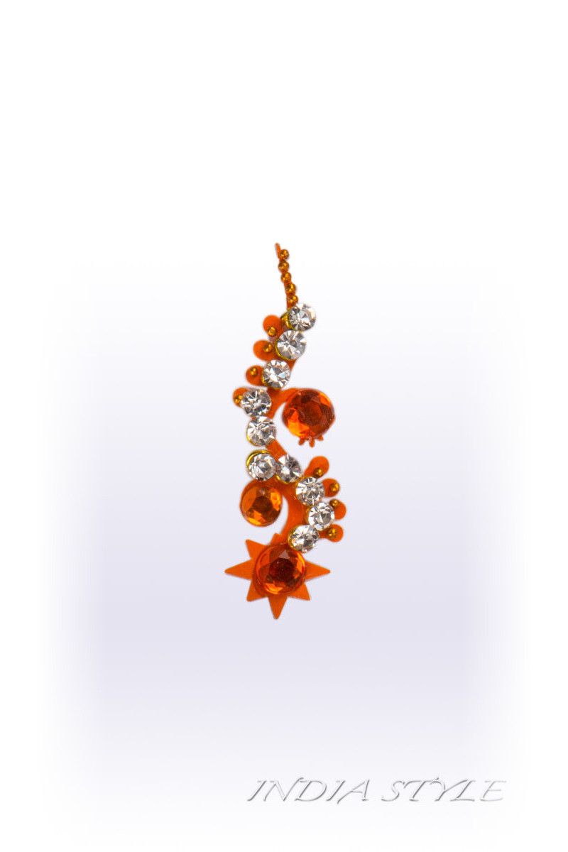 Бинди Раджни