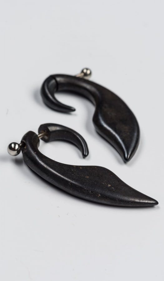 Серьги деревянные Черный лебедь