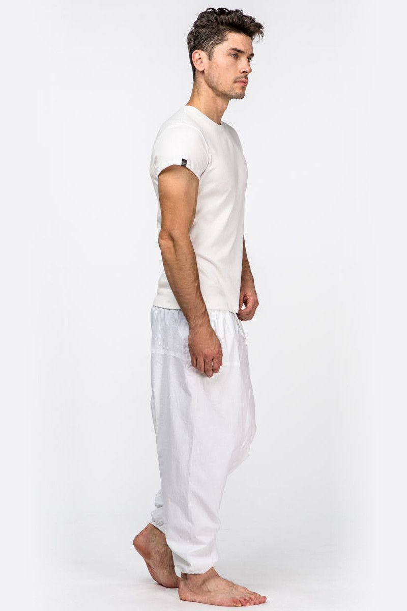 Белые алладины Альбатрос