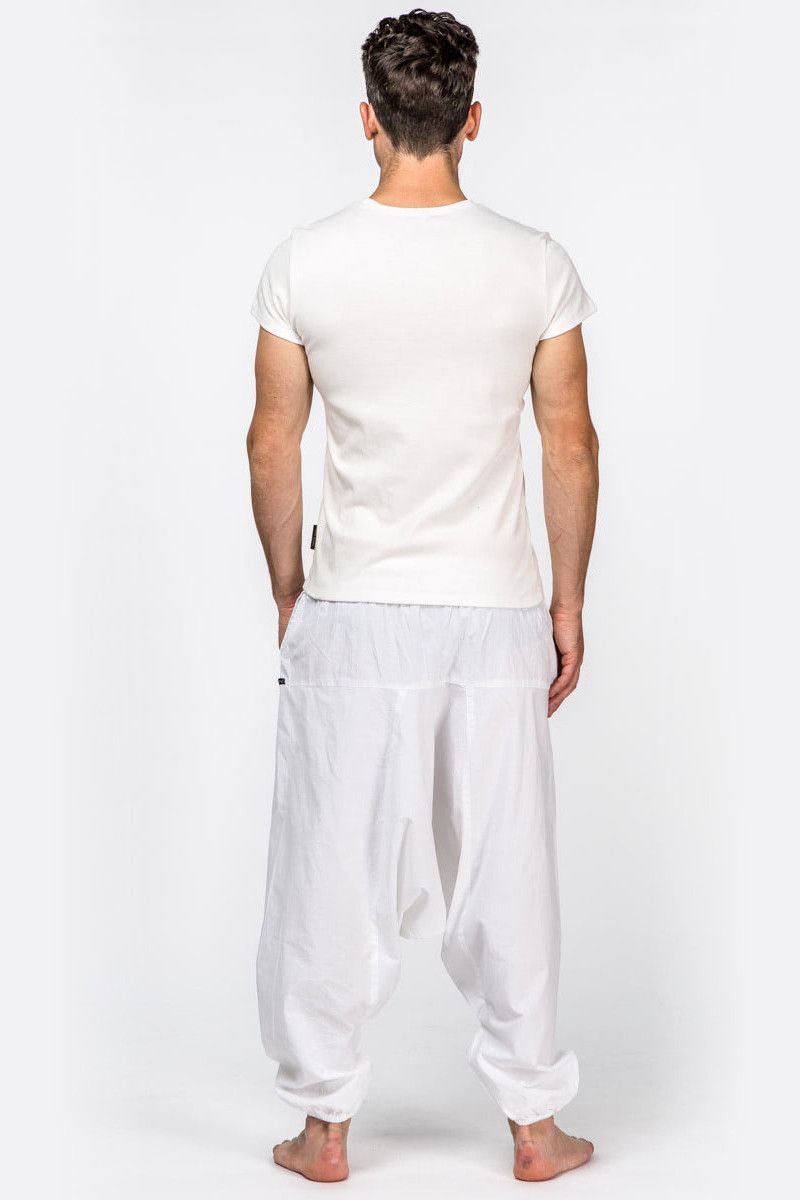 Белые алладины Альбатрос