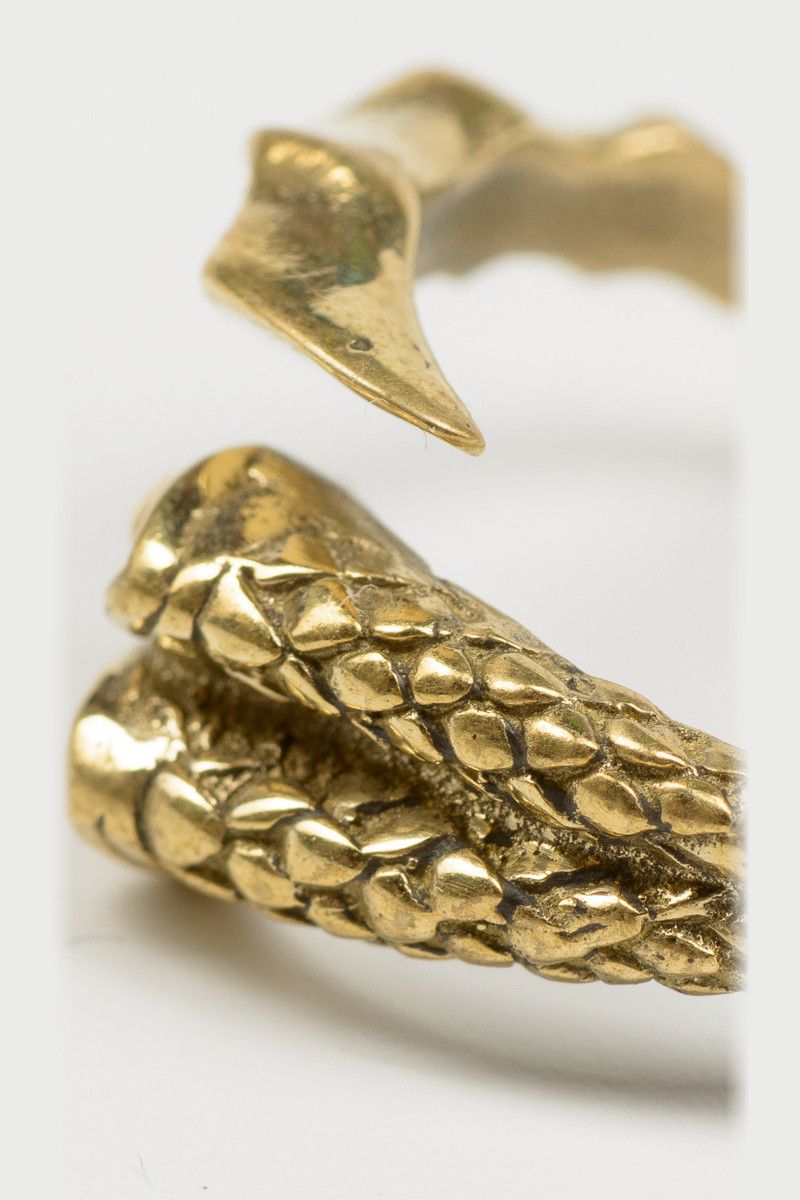 Кольцо коготь Пуна