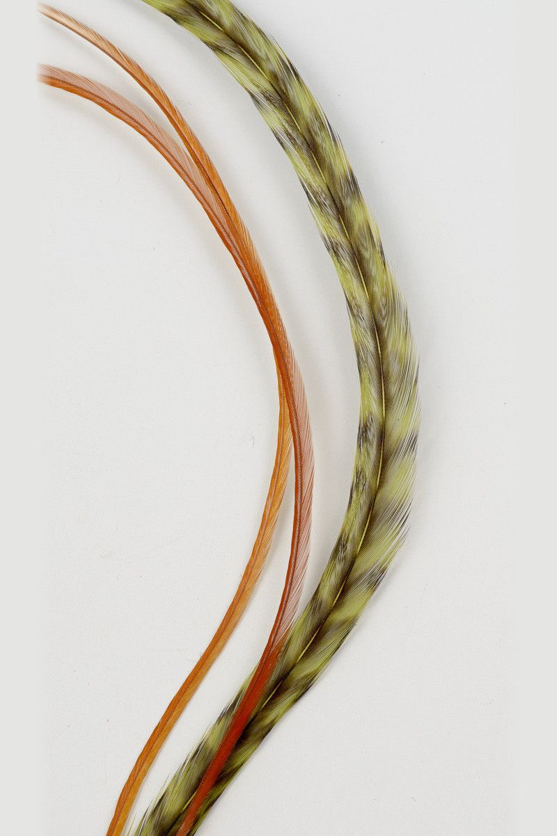 Заколка Меридиана