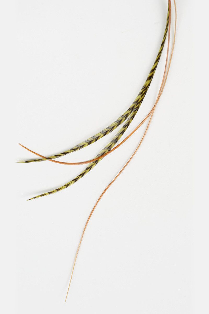 Заколка Меридиана