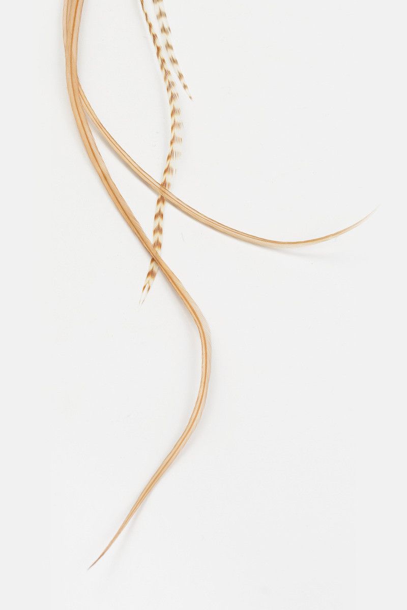 Заколка из перьев Эрраи