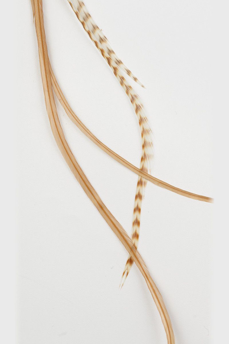 Заколка из перьев Эрраи