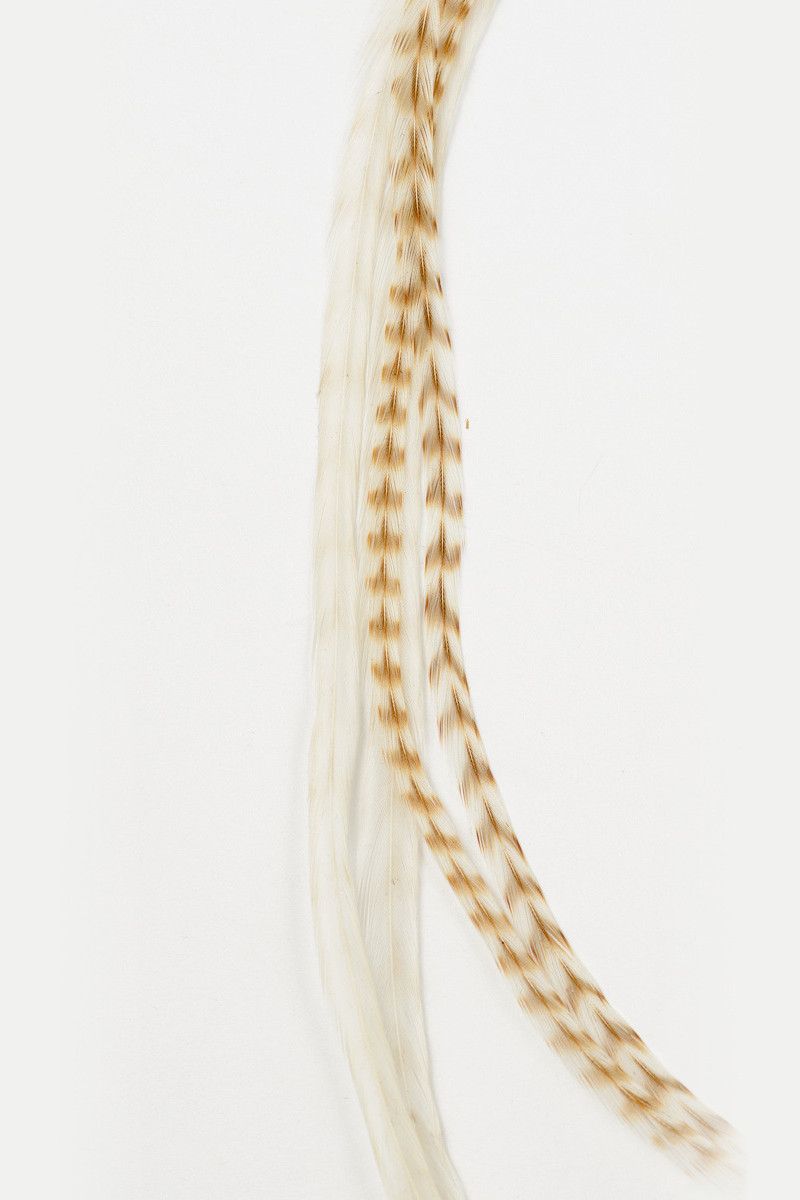 Заколка Арктика